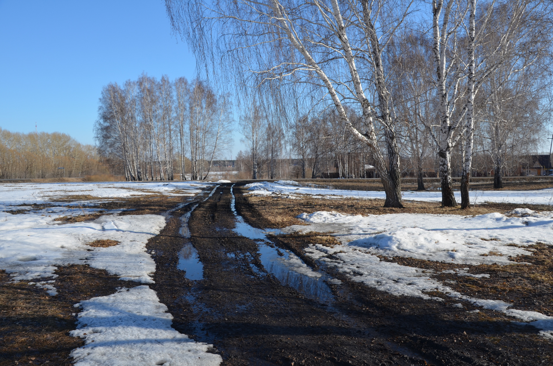 *** Березы дорога снег вода небо