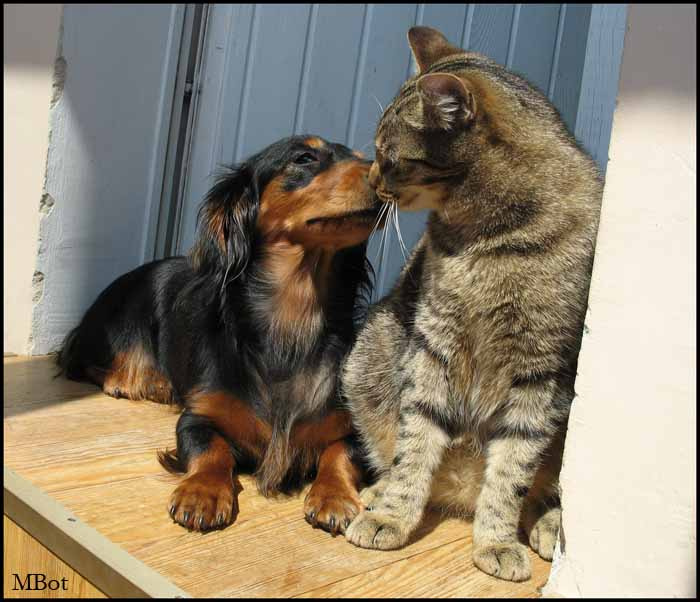 Love is... 