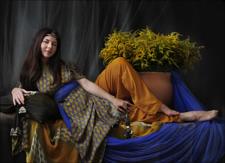 La maja vestida 