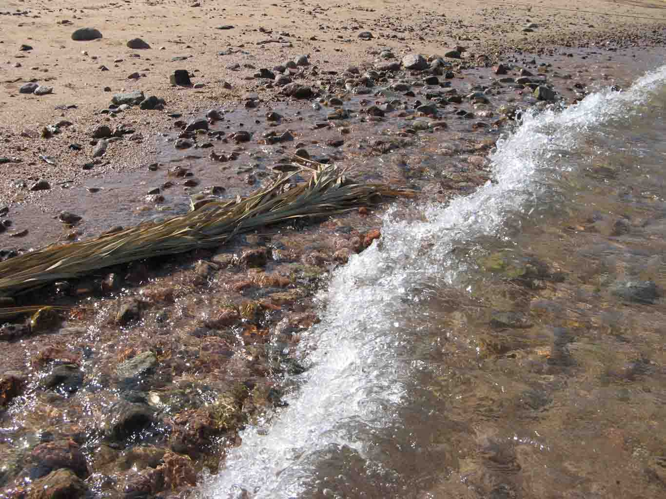 Берег Красного моря Берег Красного моря