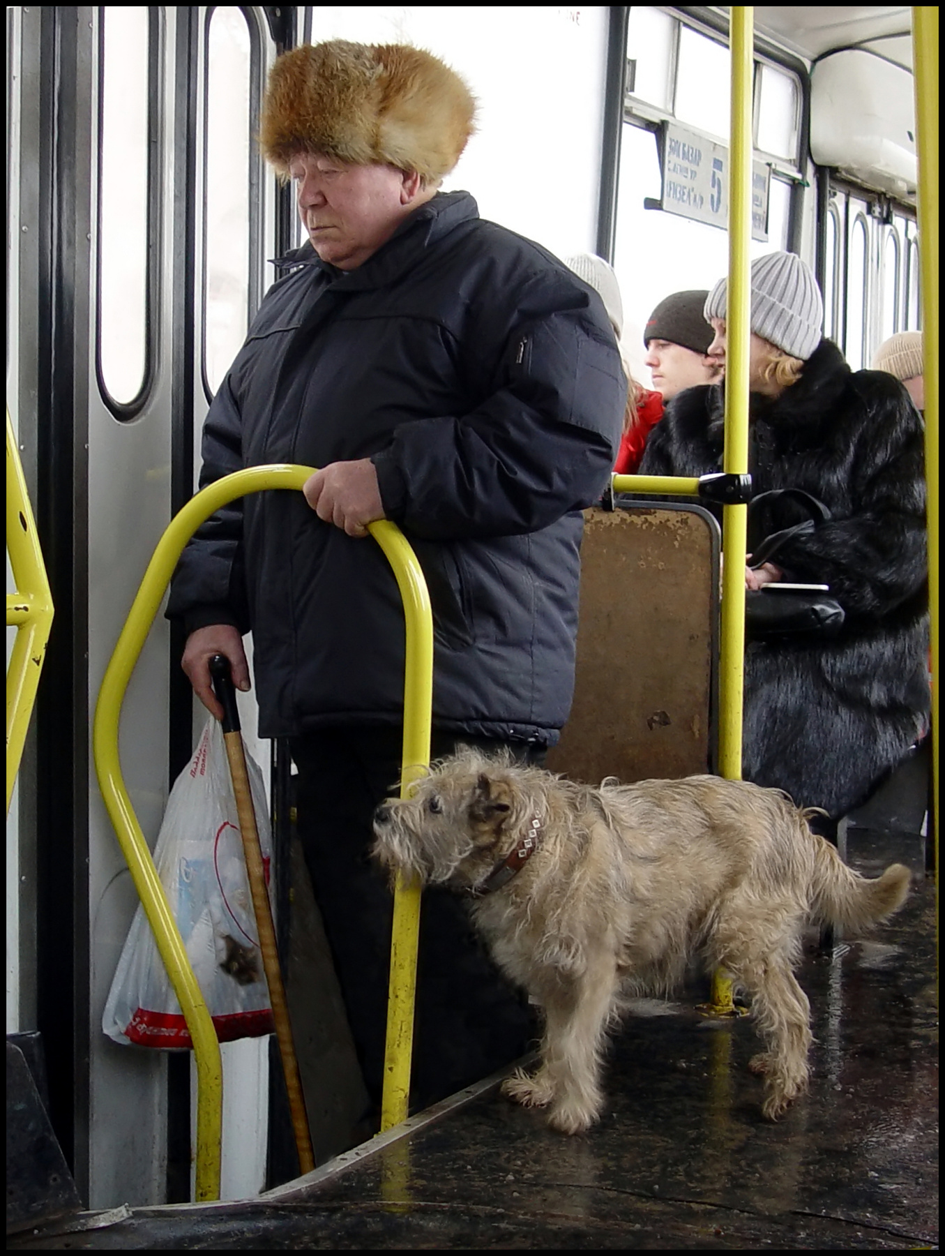 Попутчики 