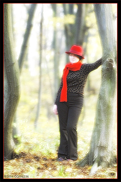 Forest Promantique 