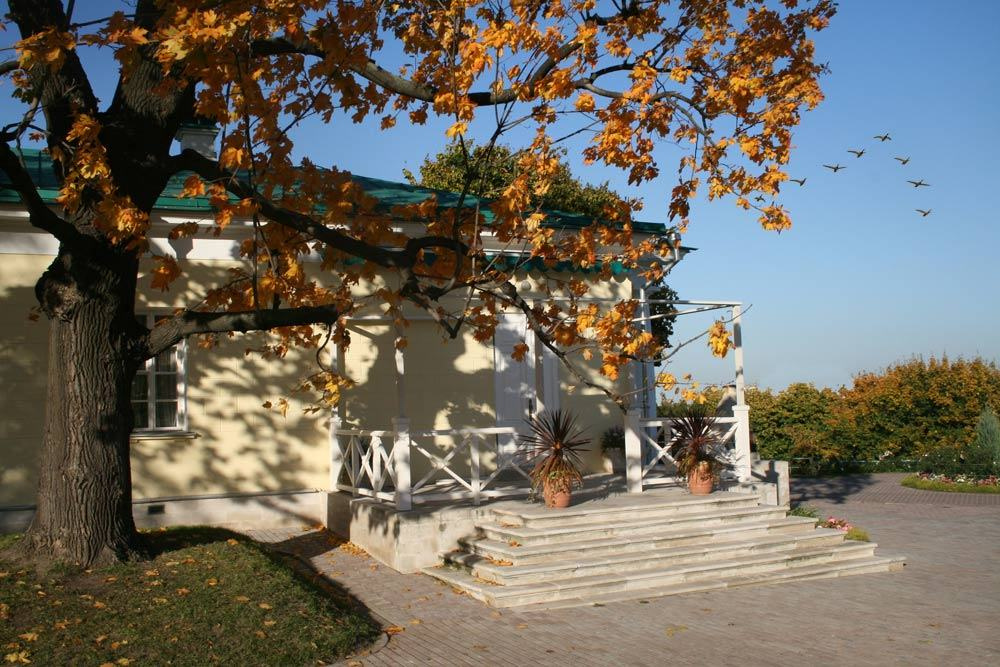 Время перемен дворик журавли утки клин осень золотая