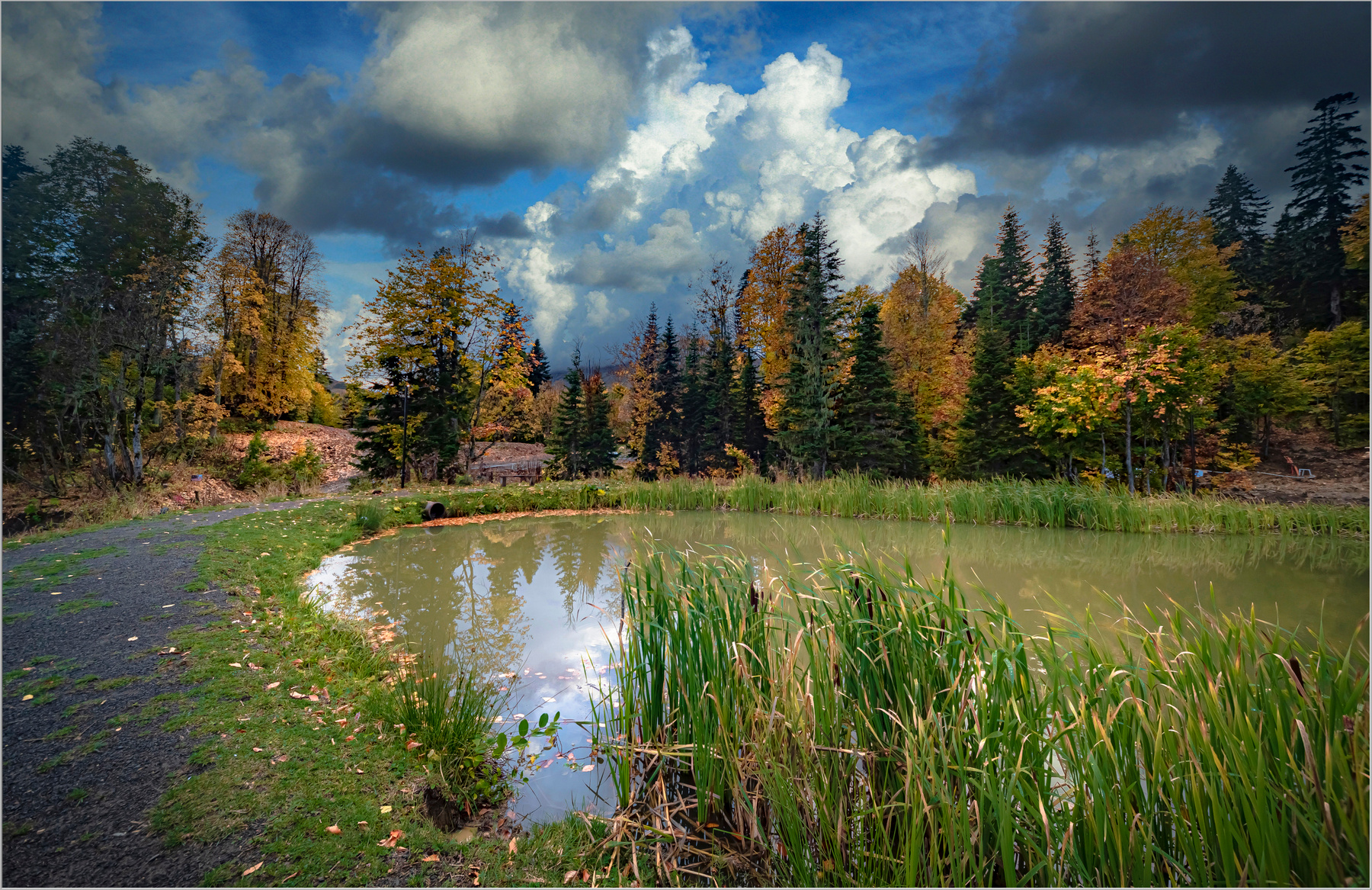 Яворова поляна природа
