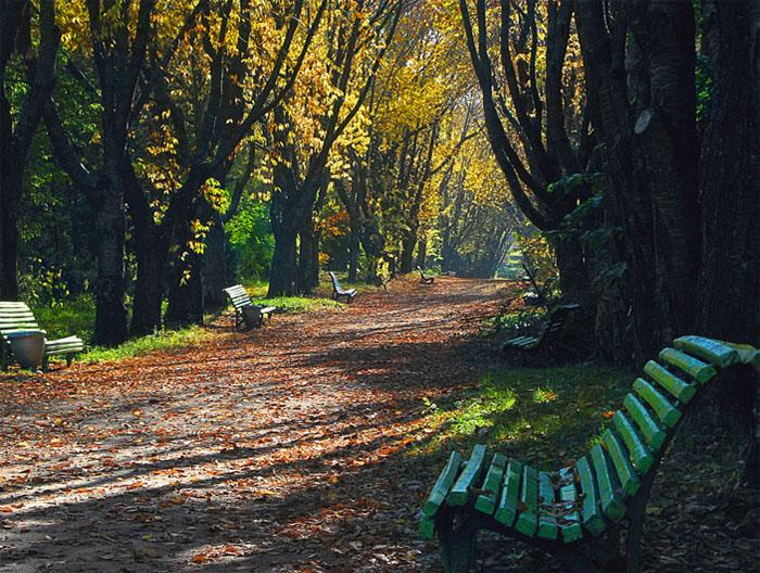 просто осенняя аллея осень аллея
