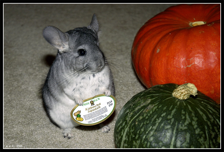 Trick-or-Treat 