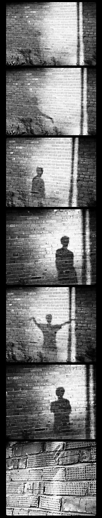 * short life of the shadow