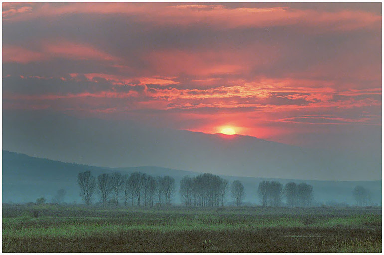 SUNSET 