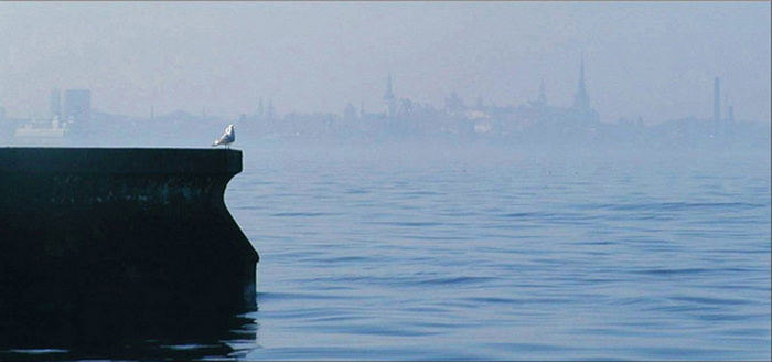 Та-аллинн в тумане Таллинн