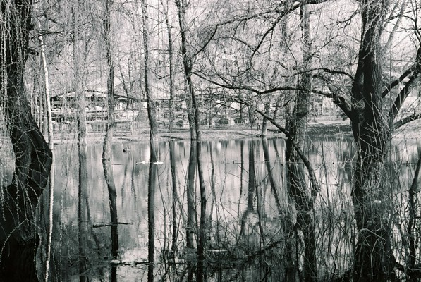 .spring 