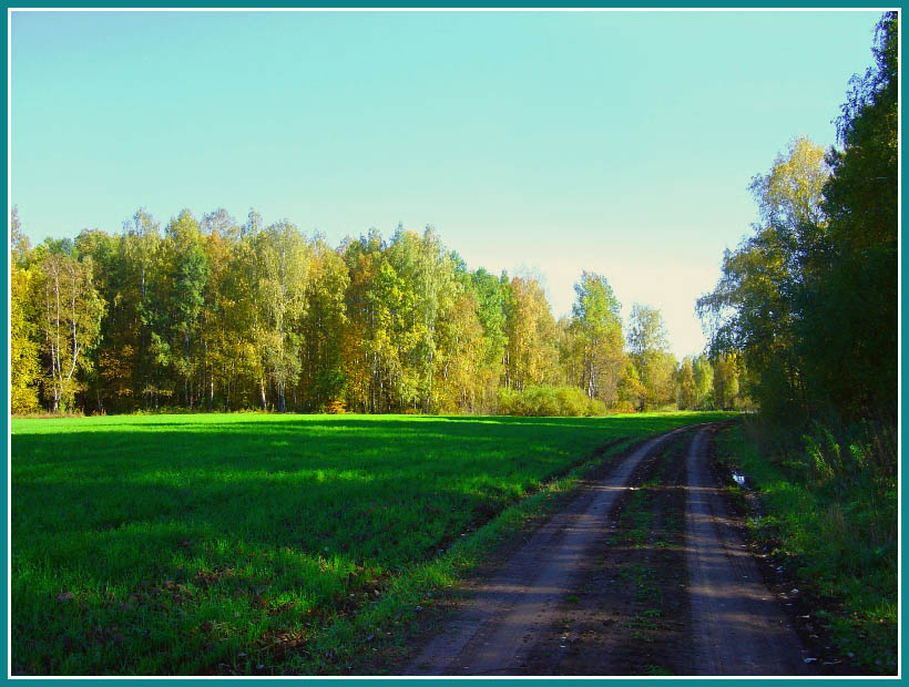 Длиннее становятся тени 