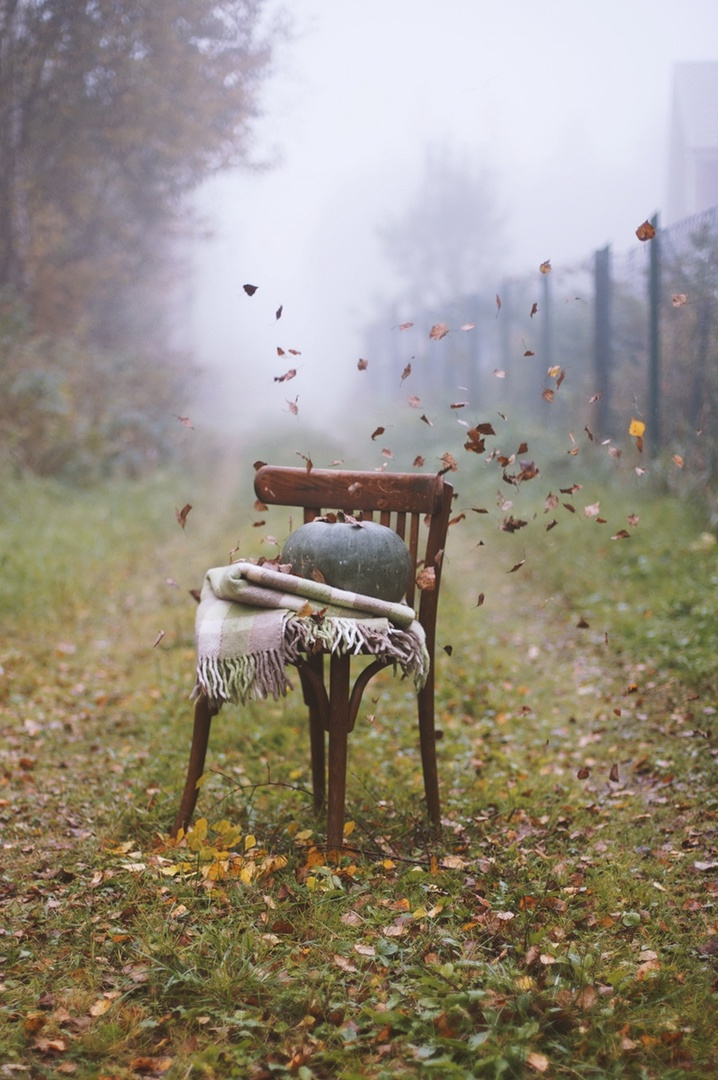 Из прошлогодней осени... 