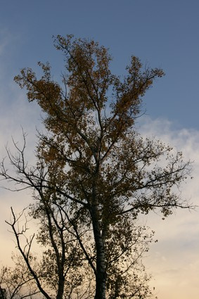 Осень 