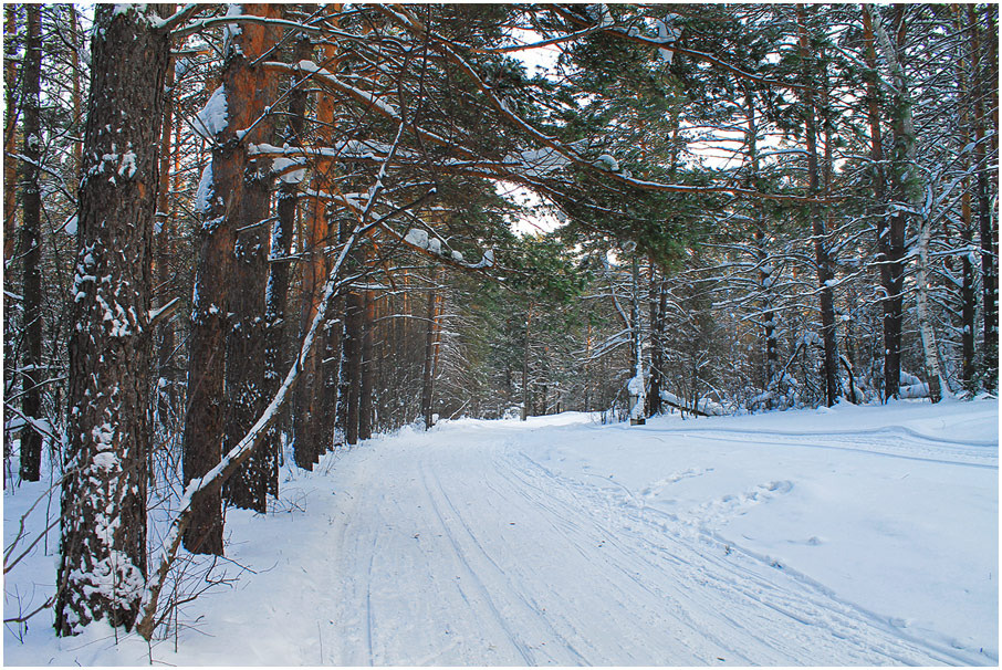 *** зима