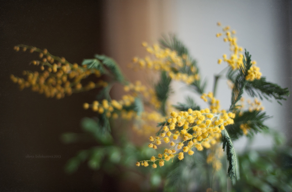*** spring
