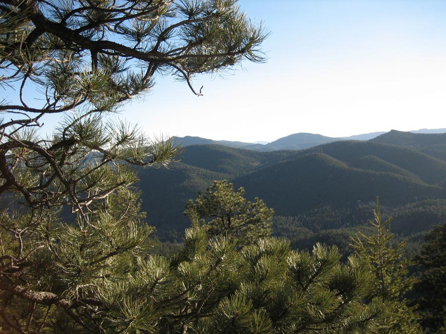 Мечта Джона Уолкера. Закат Mount Falcon Park, вечер, закат, сосны, горы, вечнозеленые дюны