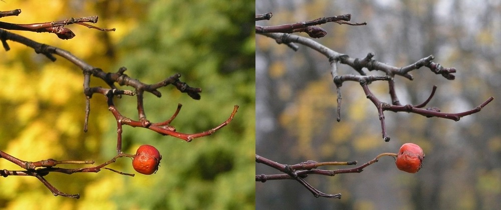 Быстротечное время... время