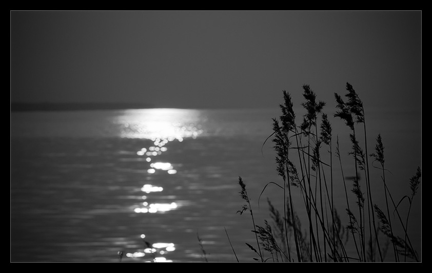Silent 