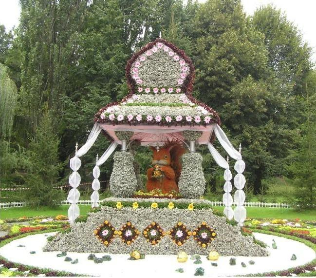 и орешки всё грызет белка, орешки