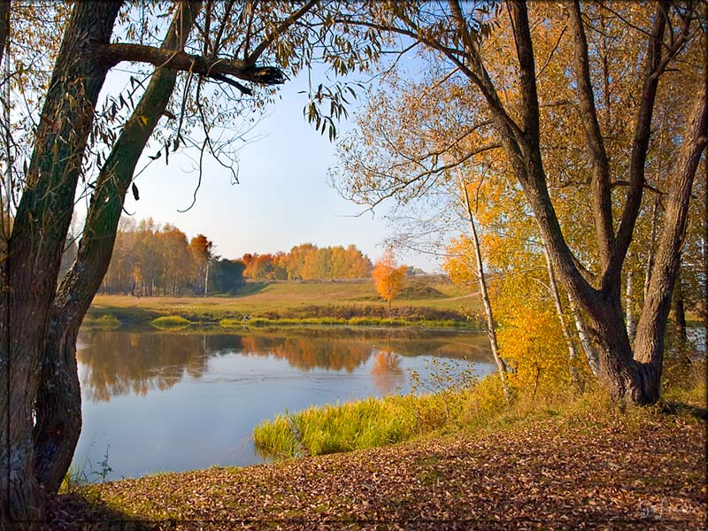 осень осень река парк