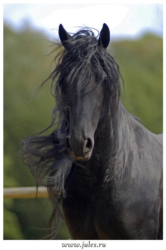 True beauty life and beauty