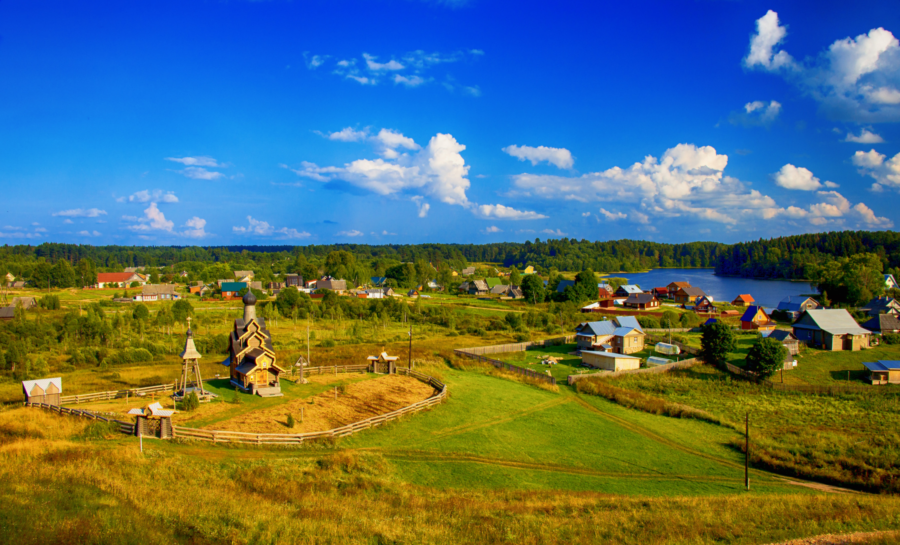 Берёзовый рядок деревня природа пейзаж Селигер