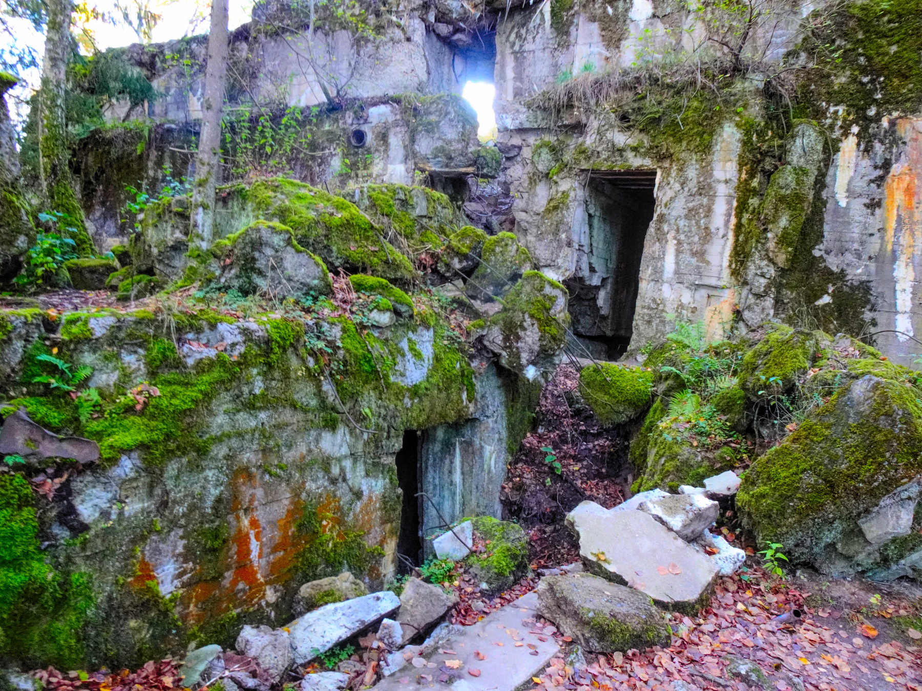 Ставка Гитлера Wolfsschanze Волчье логово Польша Wolfsschanze Гитлер