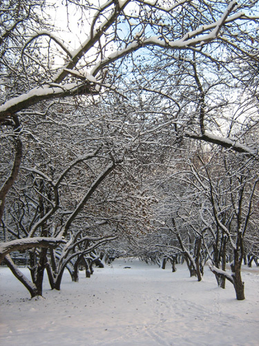 Дорога в рай 