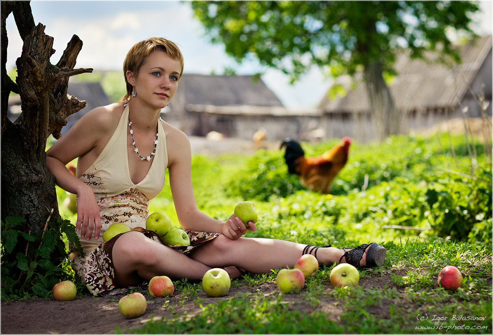 apples деревня, яблоки
