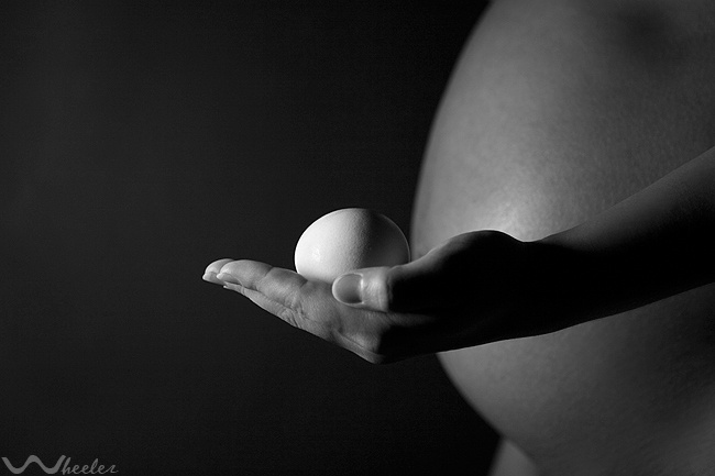 about lifes lifes pregnancy egg woman lines