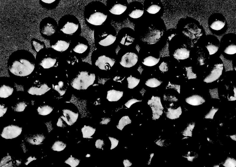 Where has Man Ray .... ? Man Ray May Ran