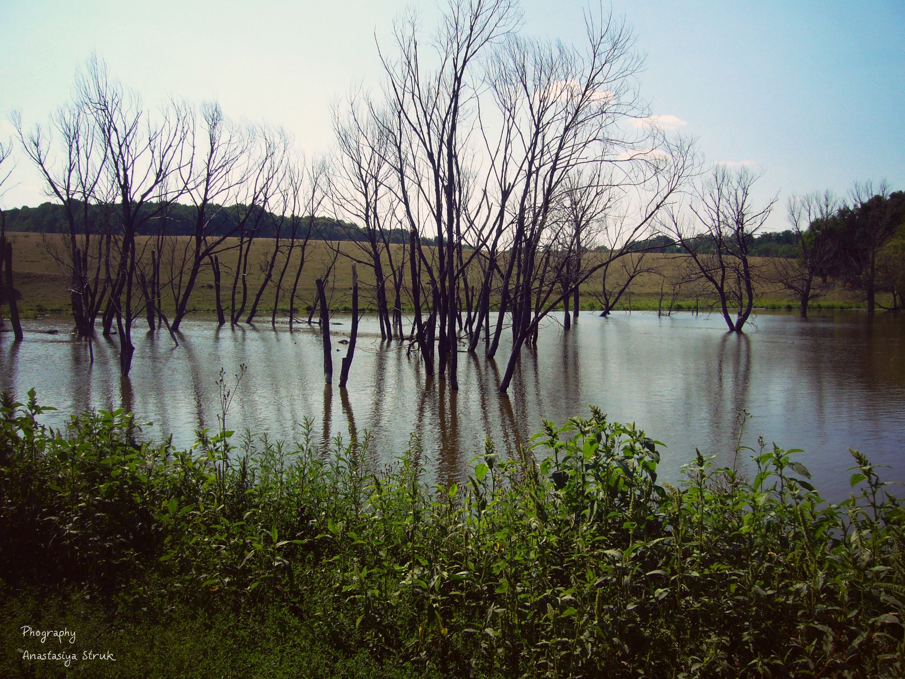 Лес и вода — брат и сестра 