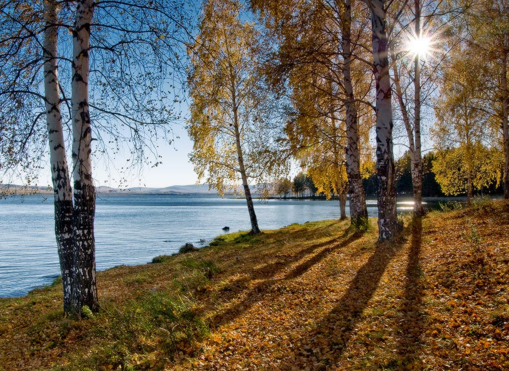 Золото бабьего лета... Осень