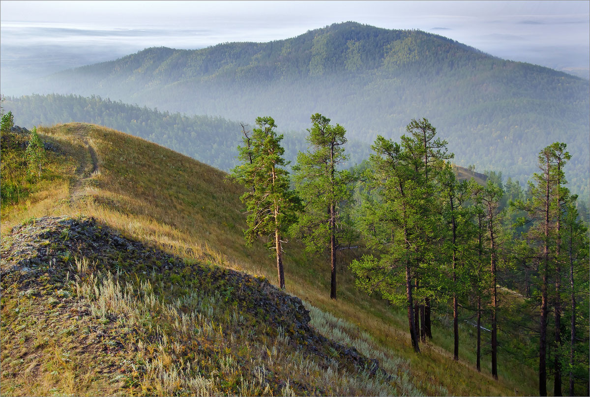 Ранняя прогулка пейзаж, рассвет, утро,