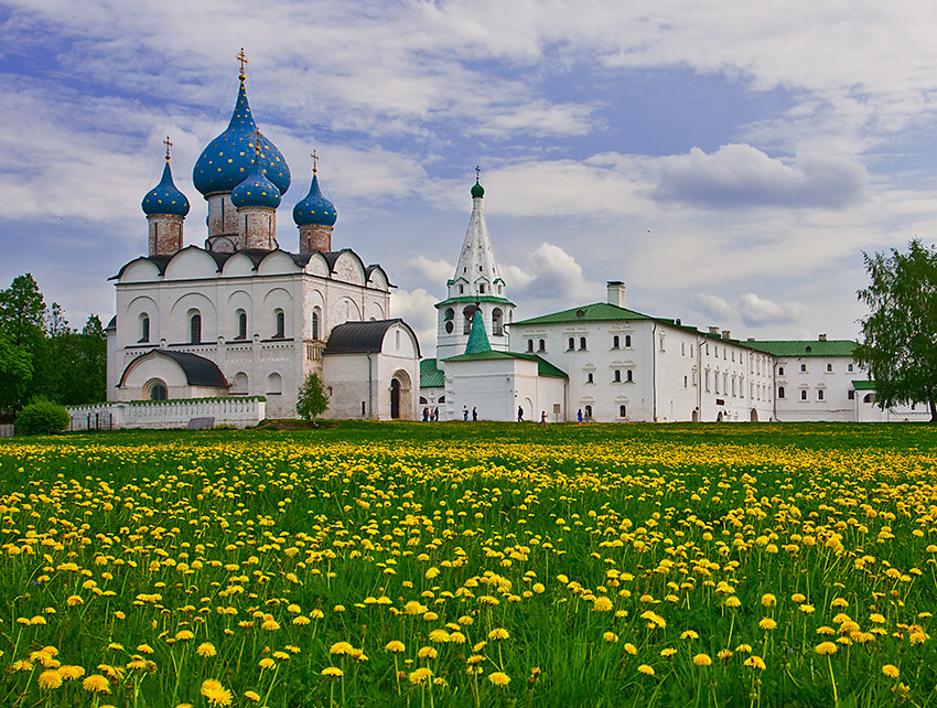 Одуванчики 