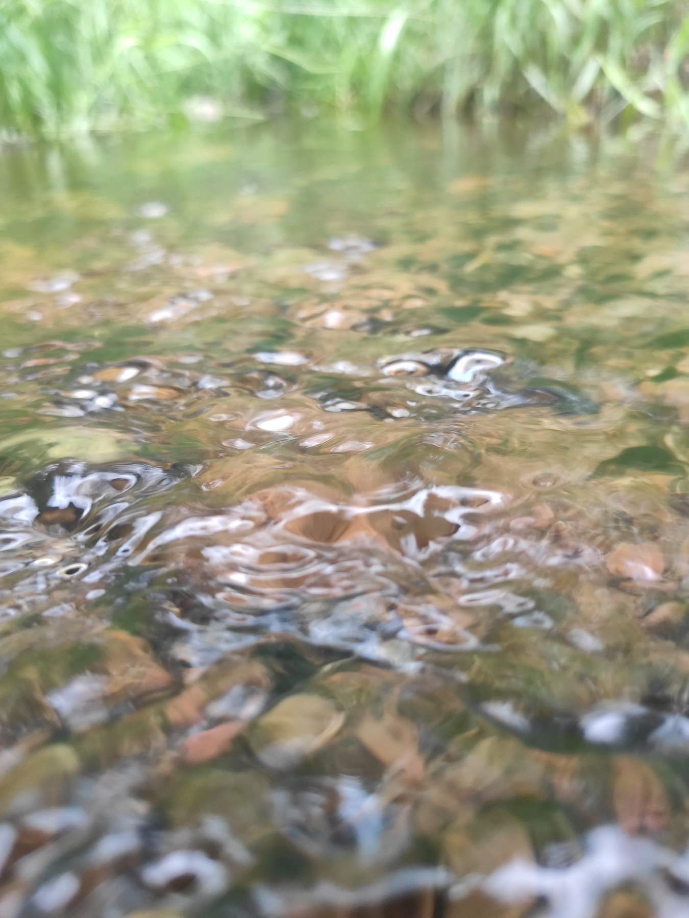 текучесть вода