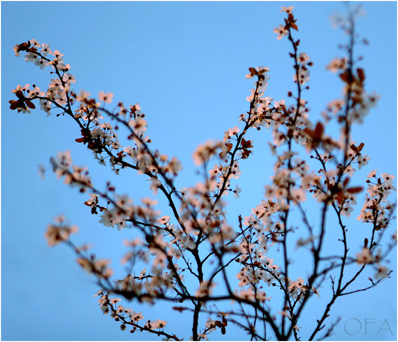 *spring light*\\\\london 