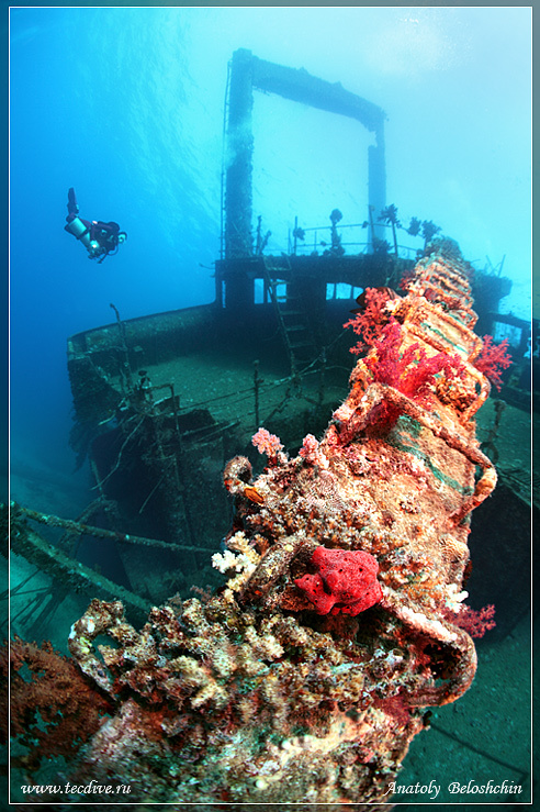 *Giannis D* или *Как умирают корабли* 3 Wreck Giannis D Shaab Abu Nuhas side mount Seacam