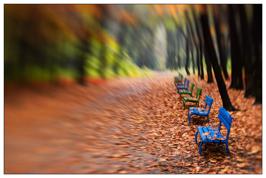 Осень, стой, подожди, не уходи...  (lensbaby 3.0) 