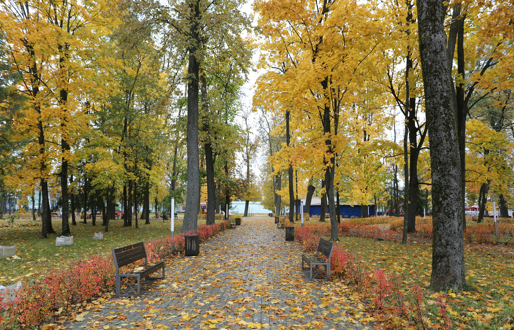 В осеннем парке 