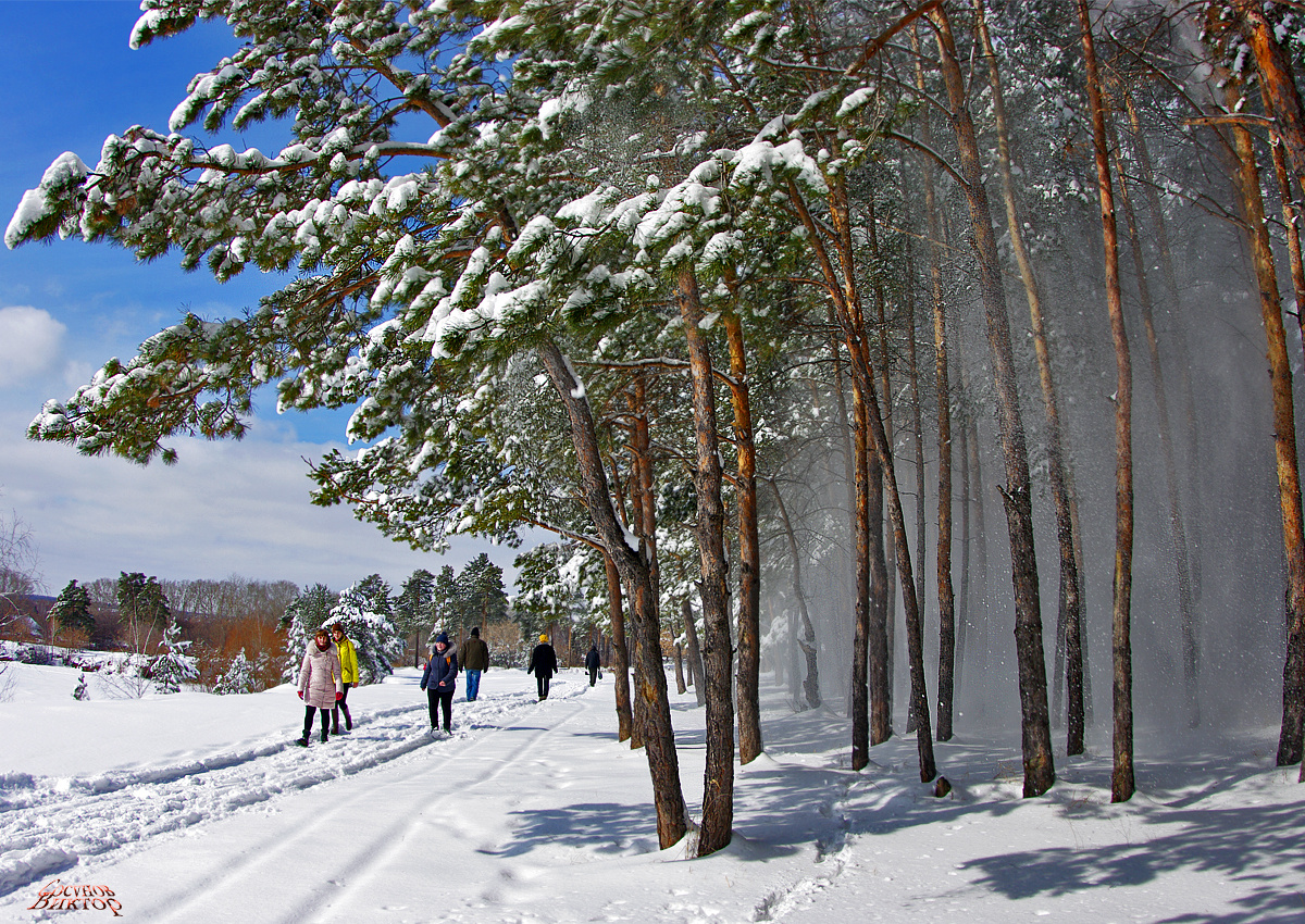 прогулка 