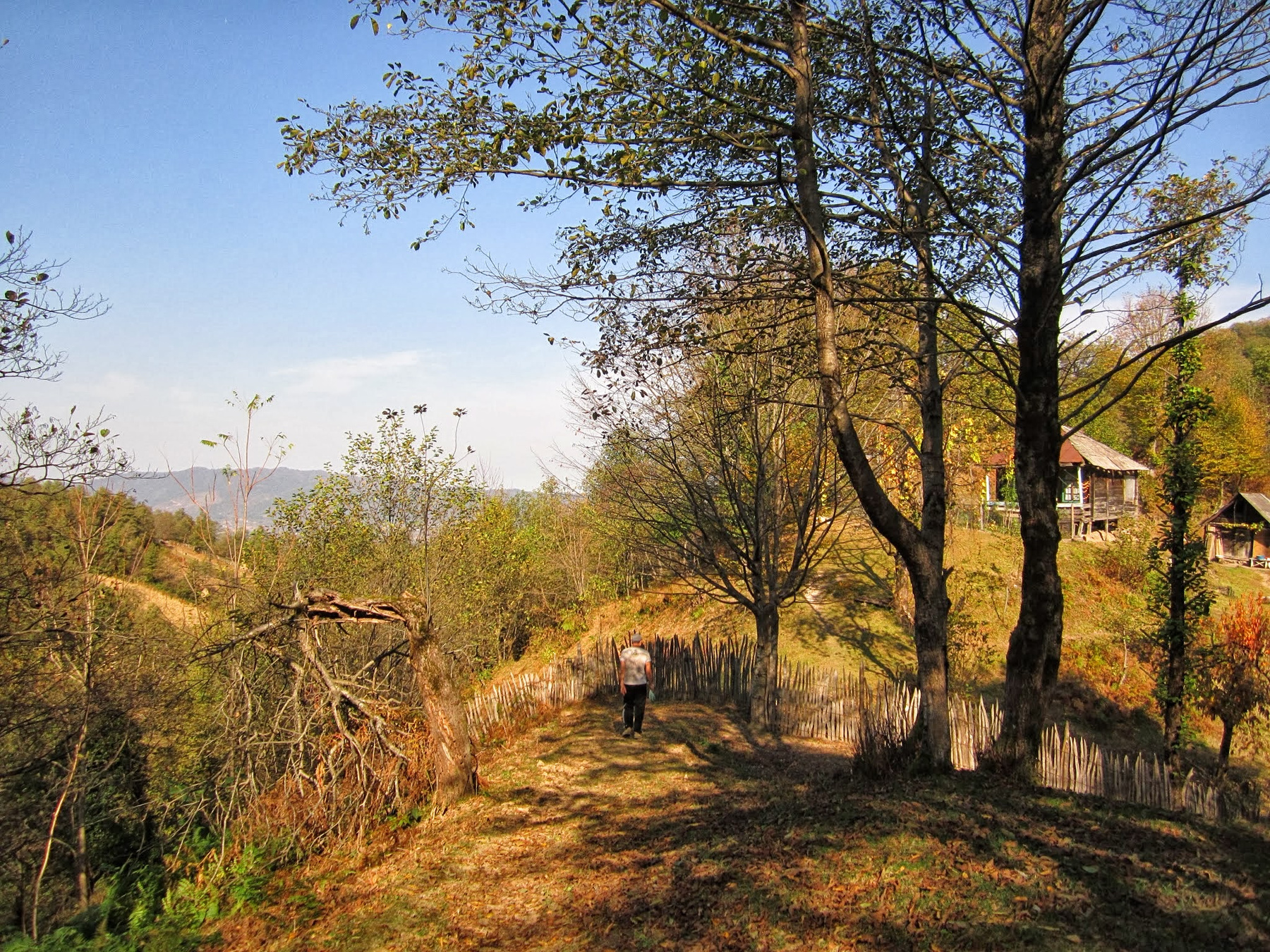 *** Erketi Guria Travel Georgia Грузия Гурия Природа