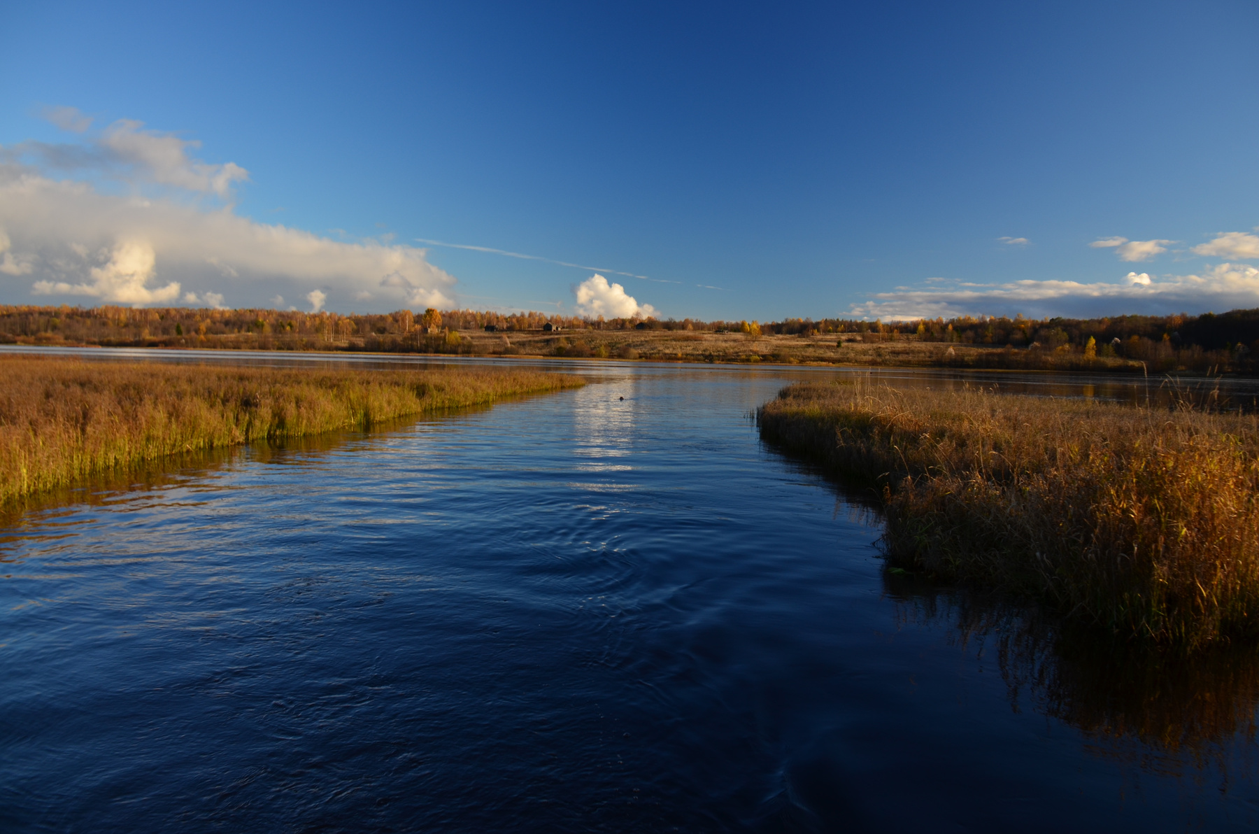         краски осени осень