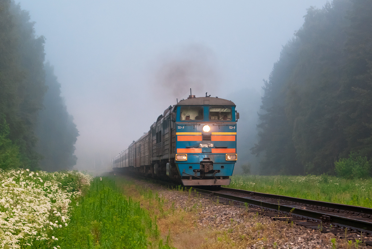 2ТЭ10УТ-0050 2ТЭ10УТ-0050 сев сжд поезд тепловоз техника транспорт кострома сендега перегон жд лето 2013 туман