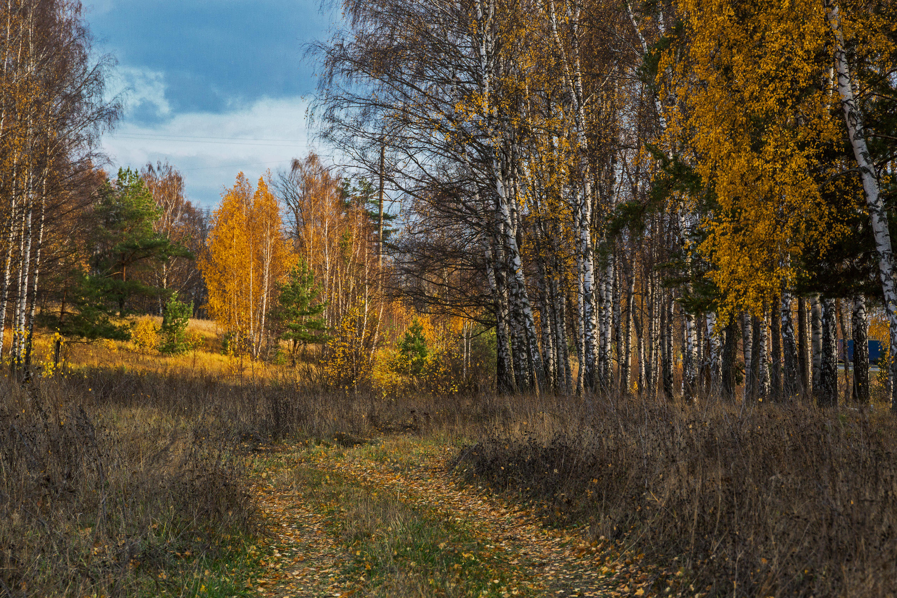*** природа пейзаж осень лес ильинское татарстан