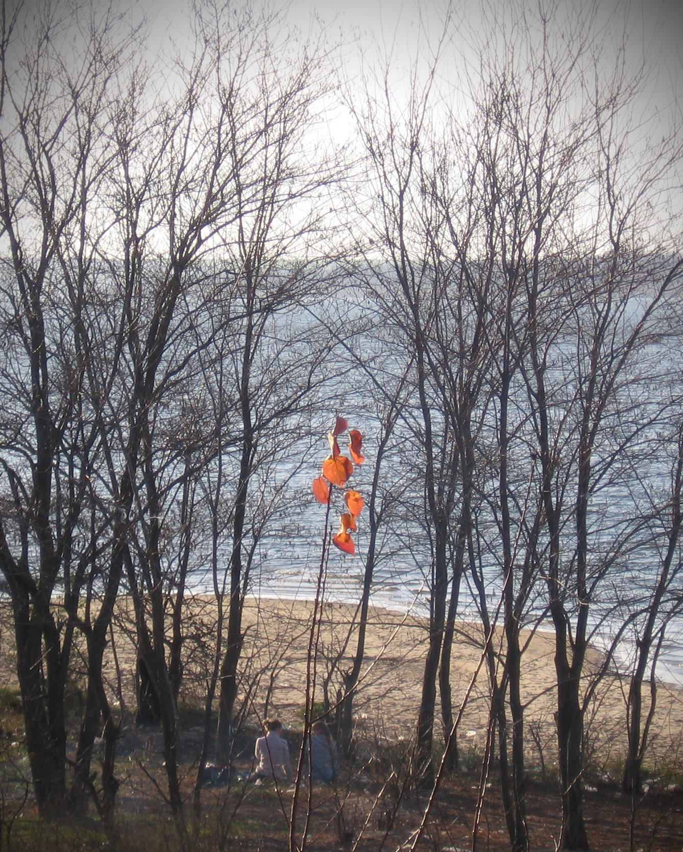 Знак осени природа, осень, река, люди, листья