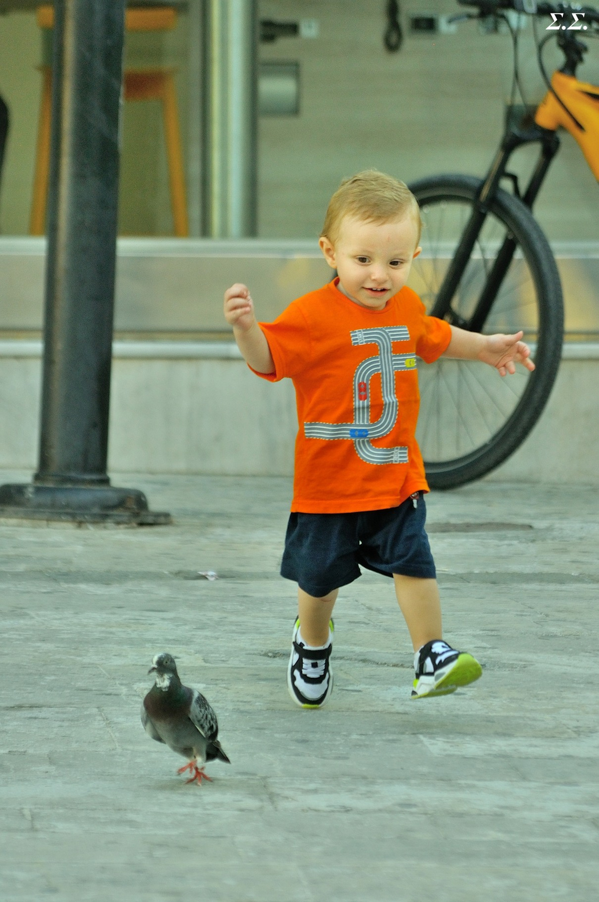 LITTLE PIGEON HUNTER 