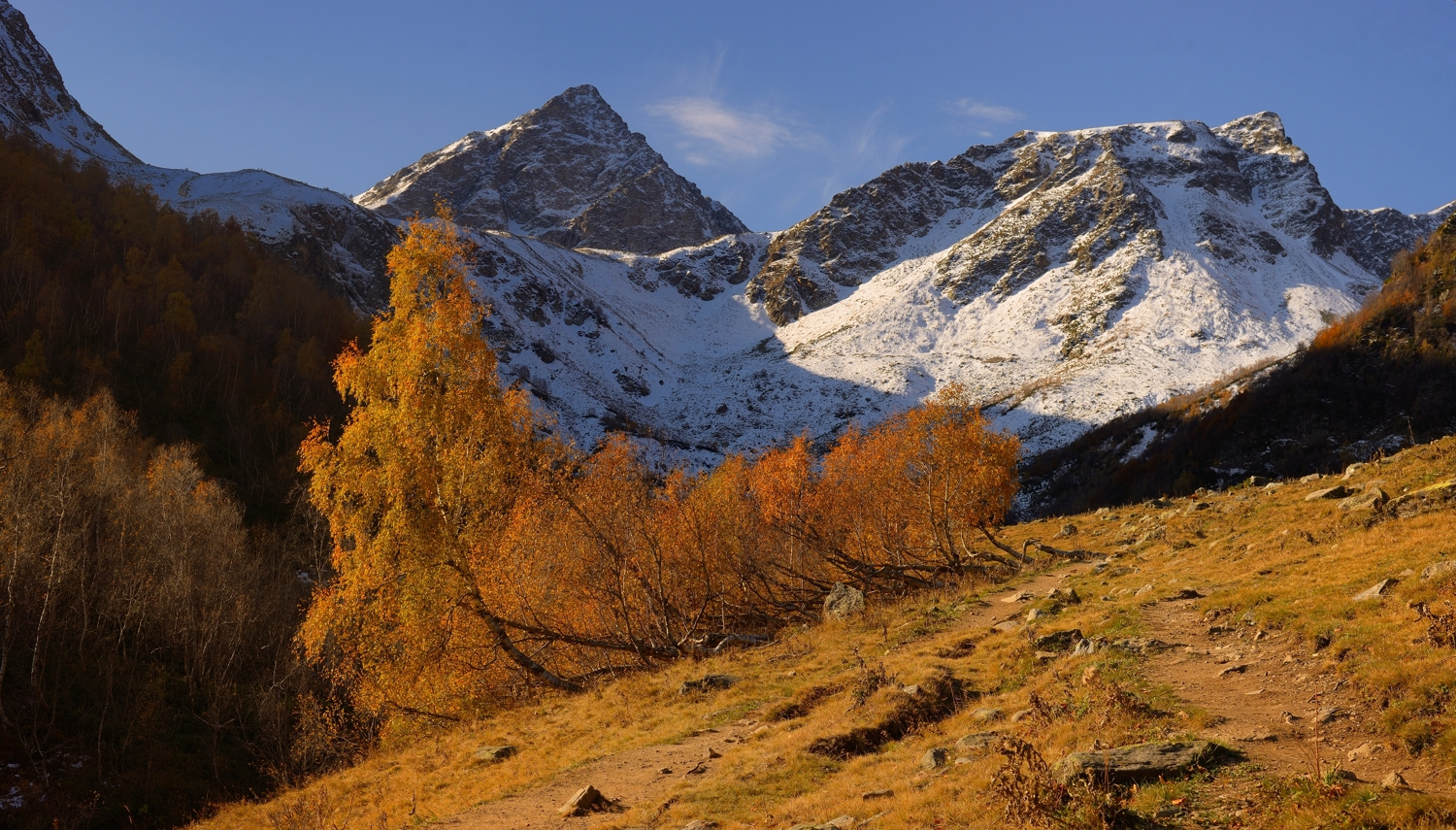 Осеннее утро горы Кавказ утро осень