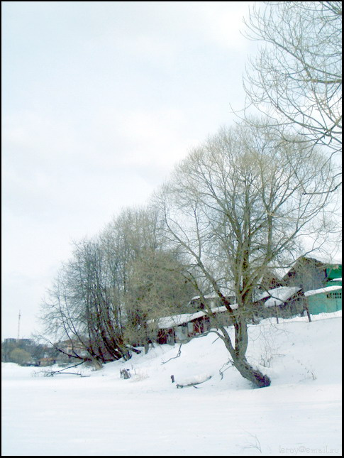 Tree дерево река Троицк