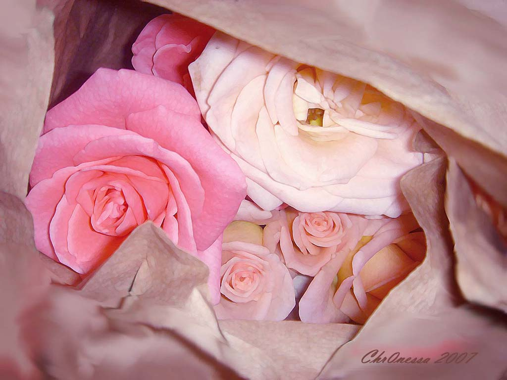what is inside... розы